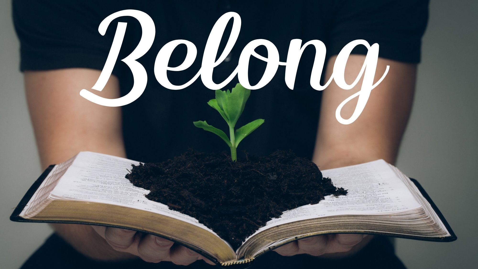 Featured image for “Belong”