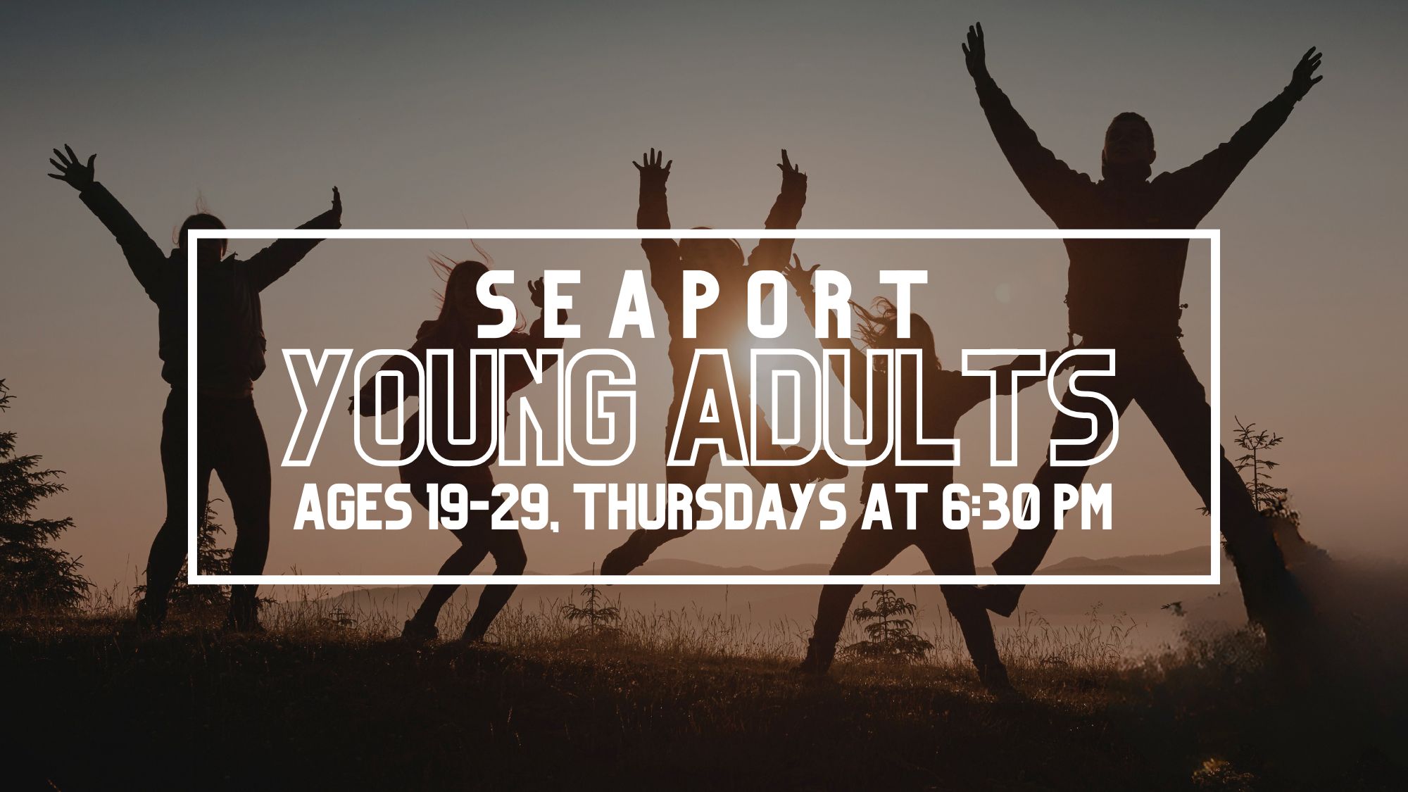 Featured image for “Young Adults”